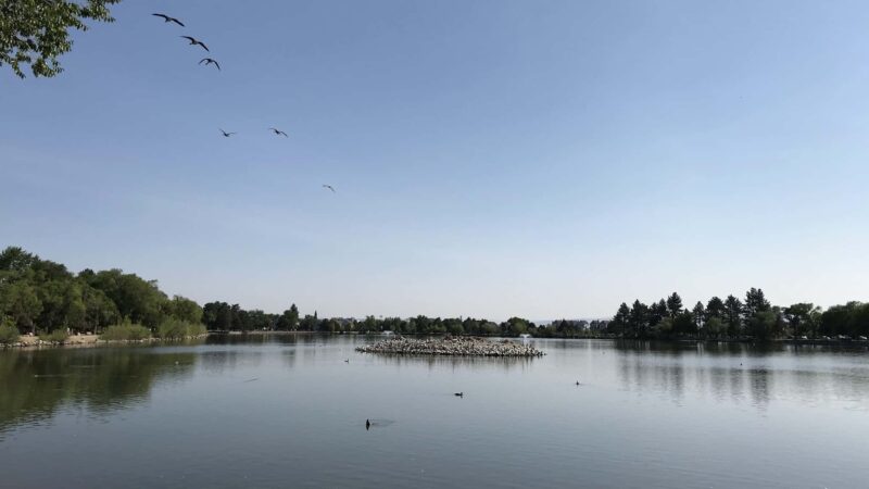 Virginia Lake Dog Park - Reno, NV