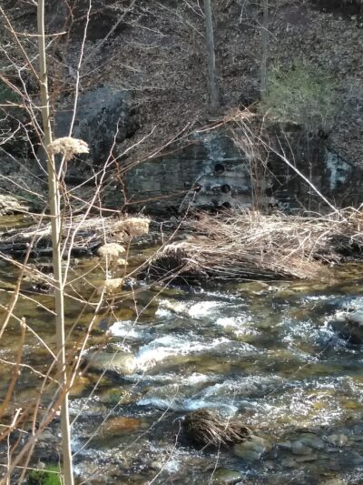 Memorial Park - Renovo, PA