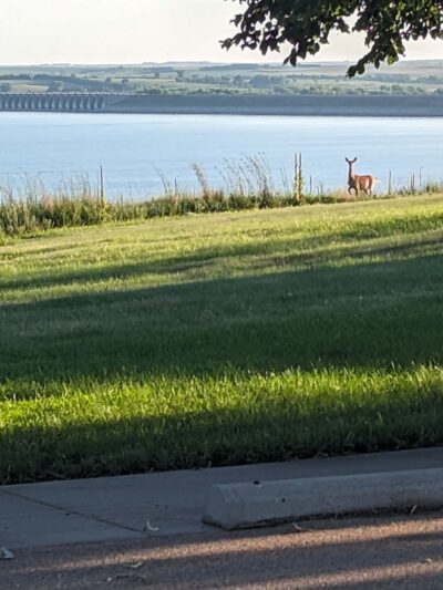 High Point Shelter Area - Republican City, NE