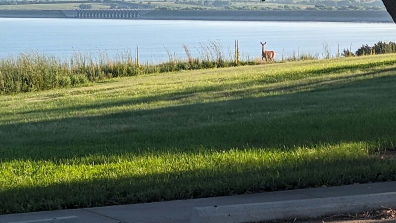 High Point Shelter Area - Republican City, NE