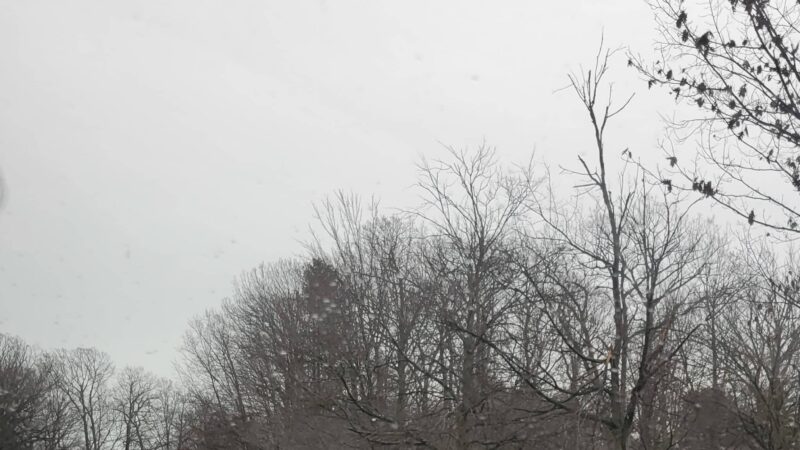 South Lakes Drive Park - Reston, VA