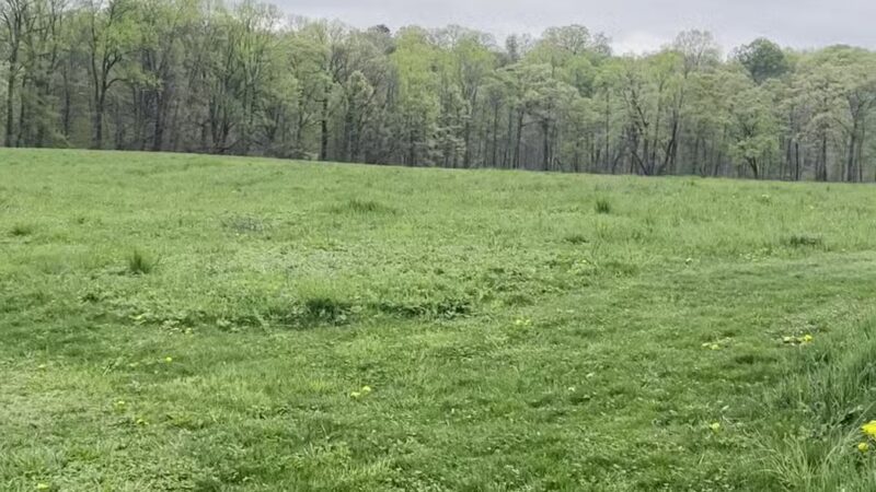 Thompson-Mazzarella Park - Rhinebeck, NY