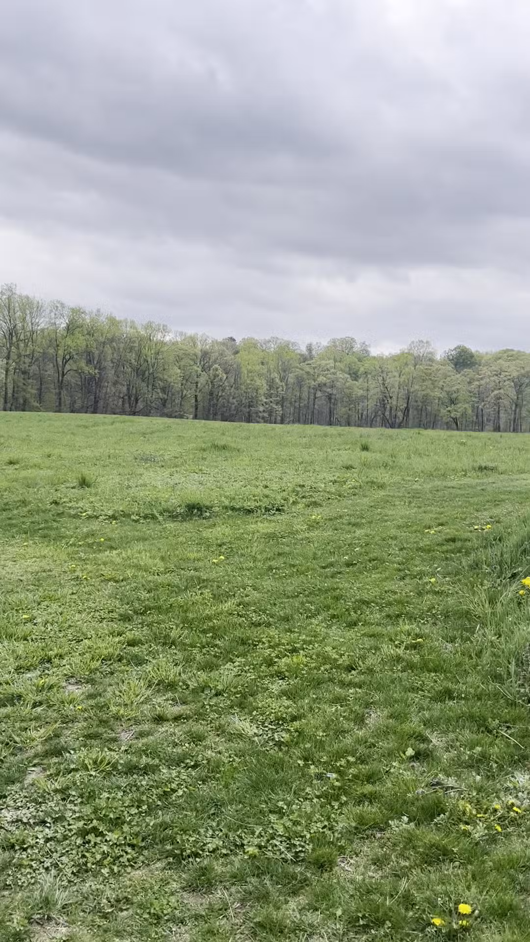 Thompson-Mazzarella Park - Rhinebeck, NY