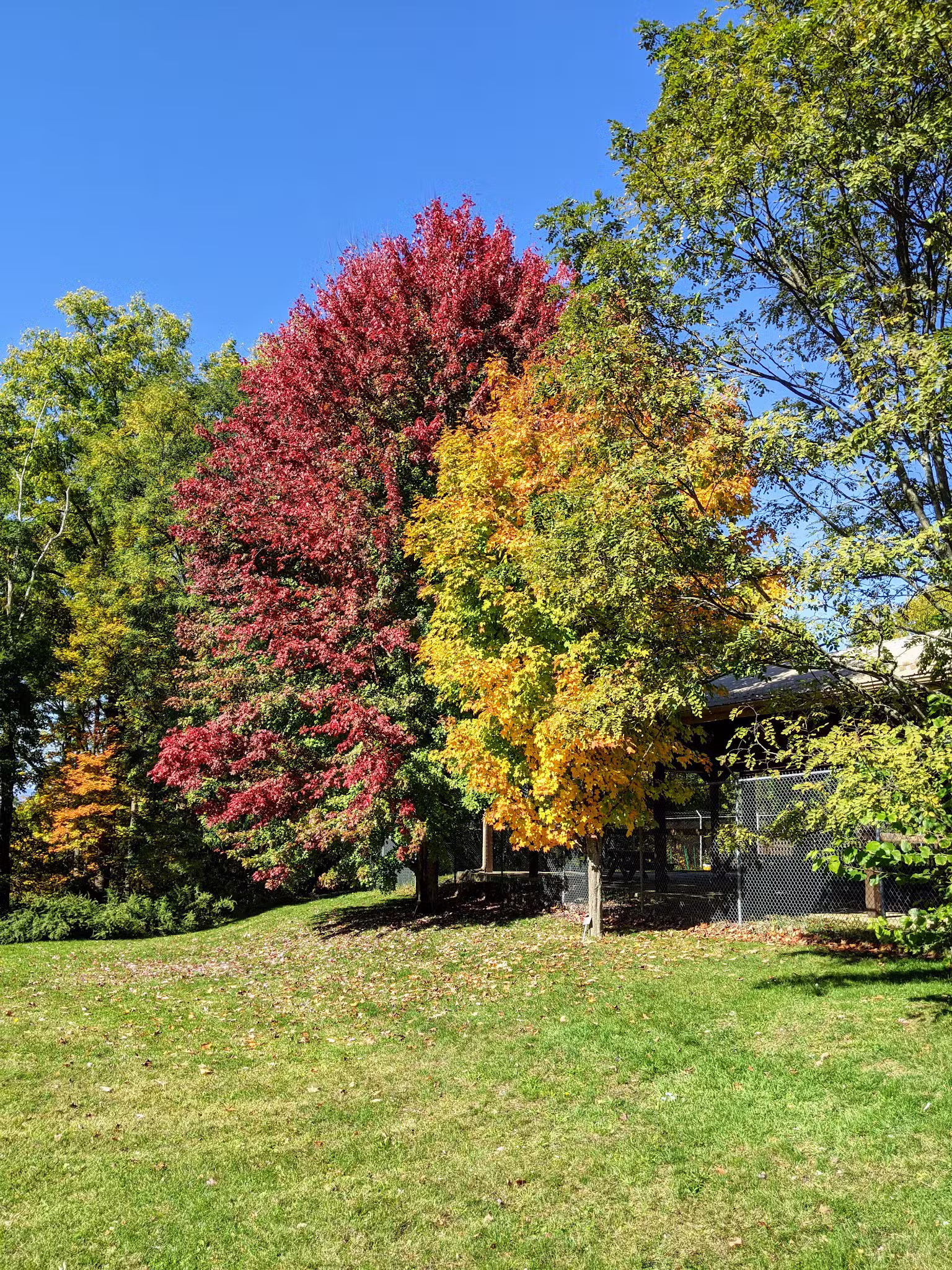 Thompson-Mazzarella Park - Rhinebeck, NY