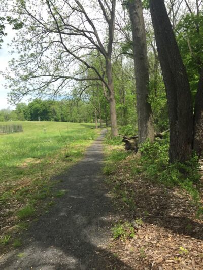 Thompson-Mazzarella Park - Rhinebeck, NY