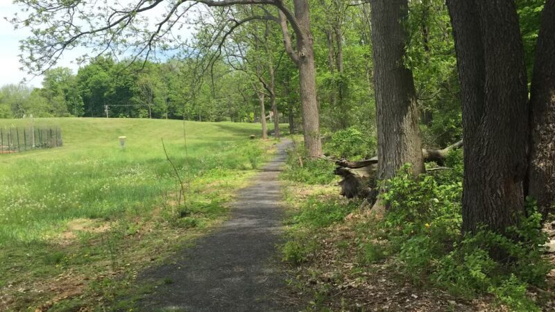 Thompson-Mazzarella Park - Rhinebeck, NY