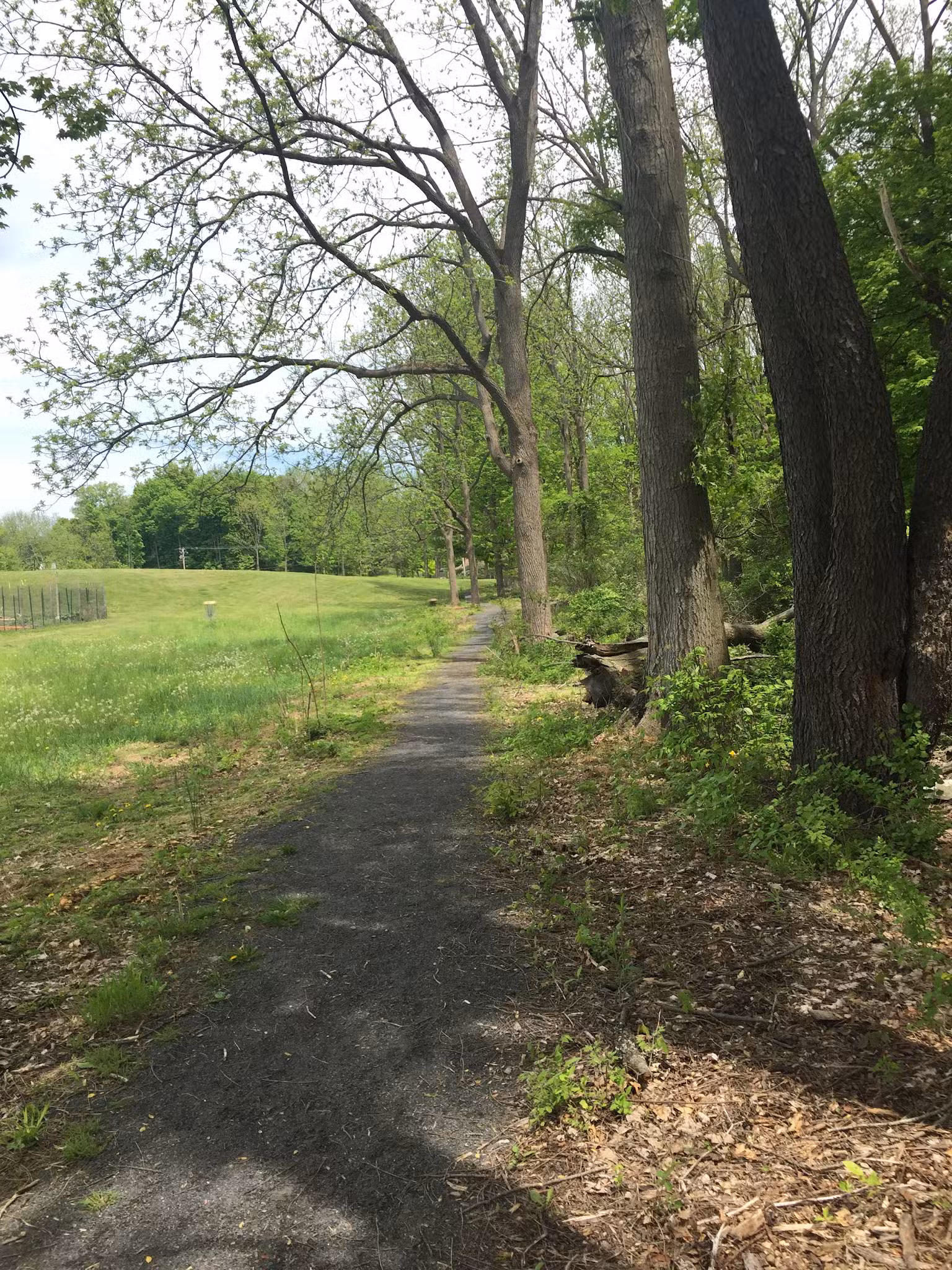 Thompson-Mazzarella Park - Rhinebeck, NY