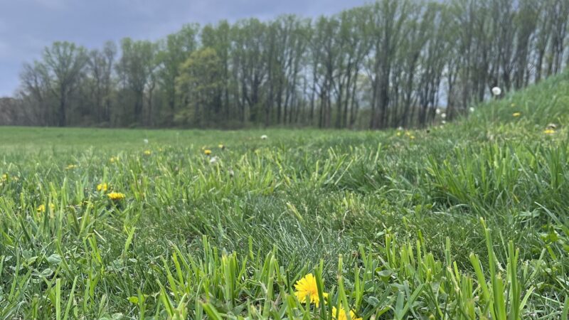 Thompson-Mazzarella Park - Rhinebeck, NY