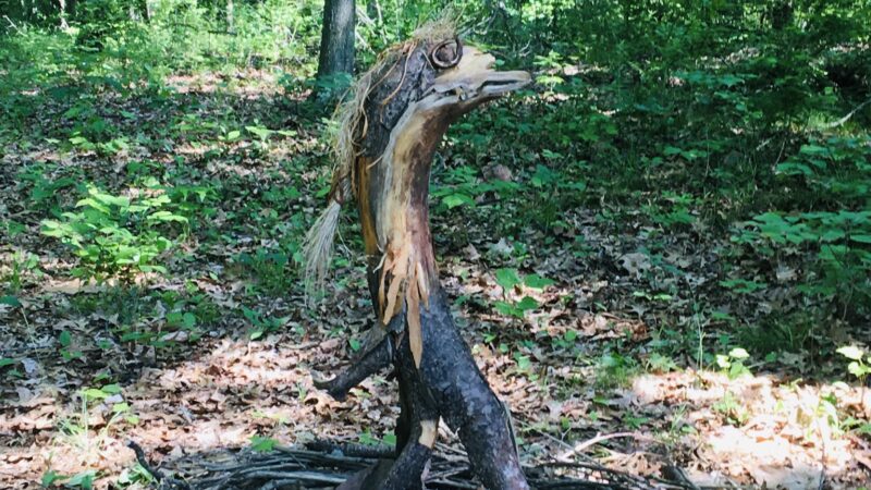 Vlei Marsh Trail - Rhinebeck, NY