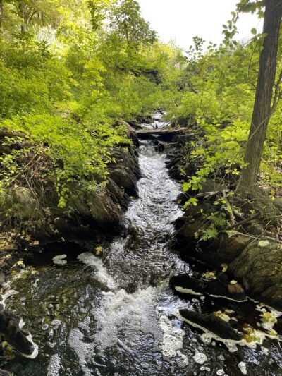 Vlei Marsh Trail - Rhinebeck, NY