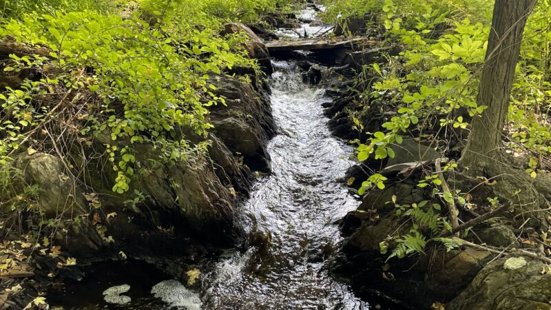 Vlei Marsh Trail - Rhinebeck, NY