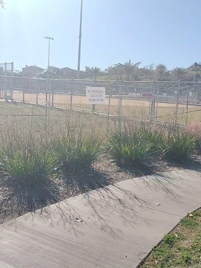 Frisbee Dog Park - Rialto, CA