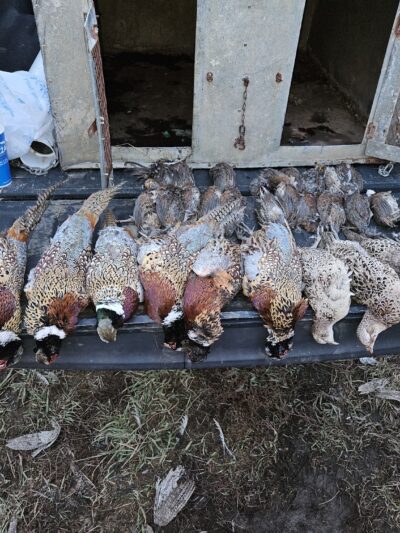 Thunder Country Hunts LLC - Richmond, KS
