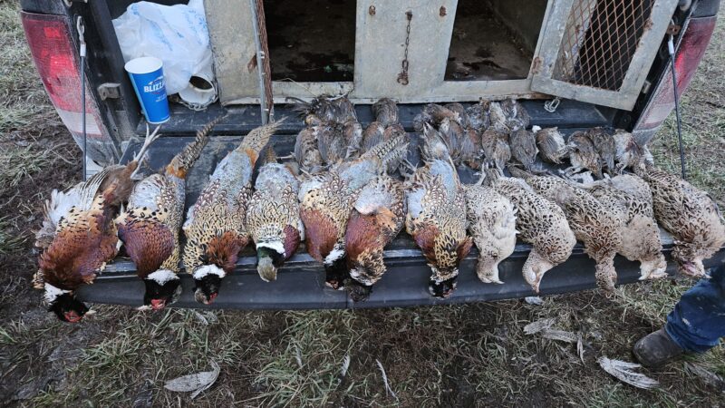 Thunder Country Hunts LLC - Richmond, KS