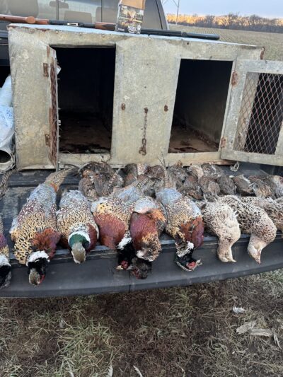 Thunder Country Hunts LLC - Richmond, KS