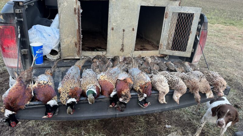 Thunder Country Hunts LLC - Richmond, KS