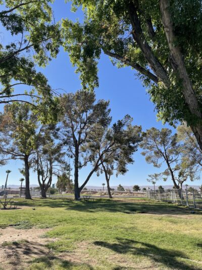 Off Leash Dog Park - Ridgecrest, CA