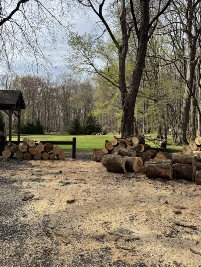 Sturges Park - Ridgefield, CT