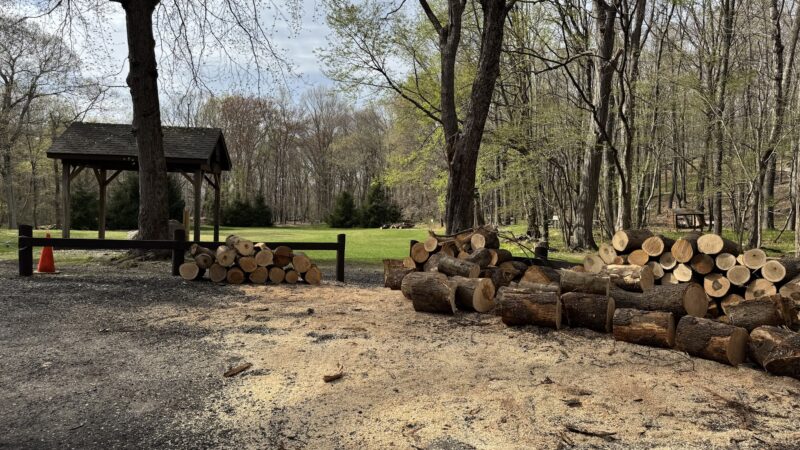 Sturges Park - Ridgefield, CT