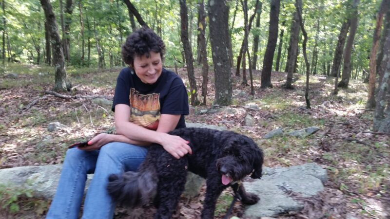 Sturges Park - Ridgefield, CT