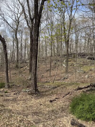 Sturges Park - Ridgefield, CT