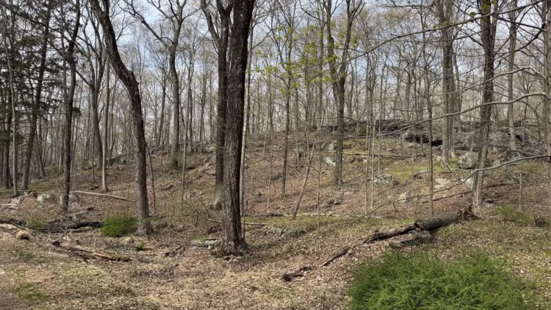 Sturges Park - Ridgefield, CT