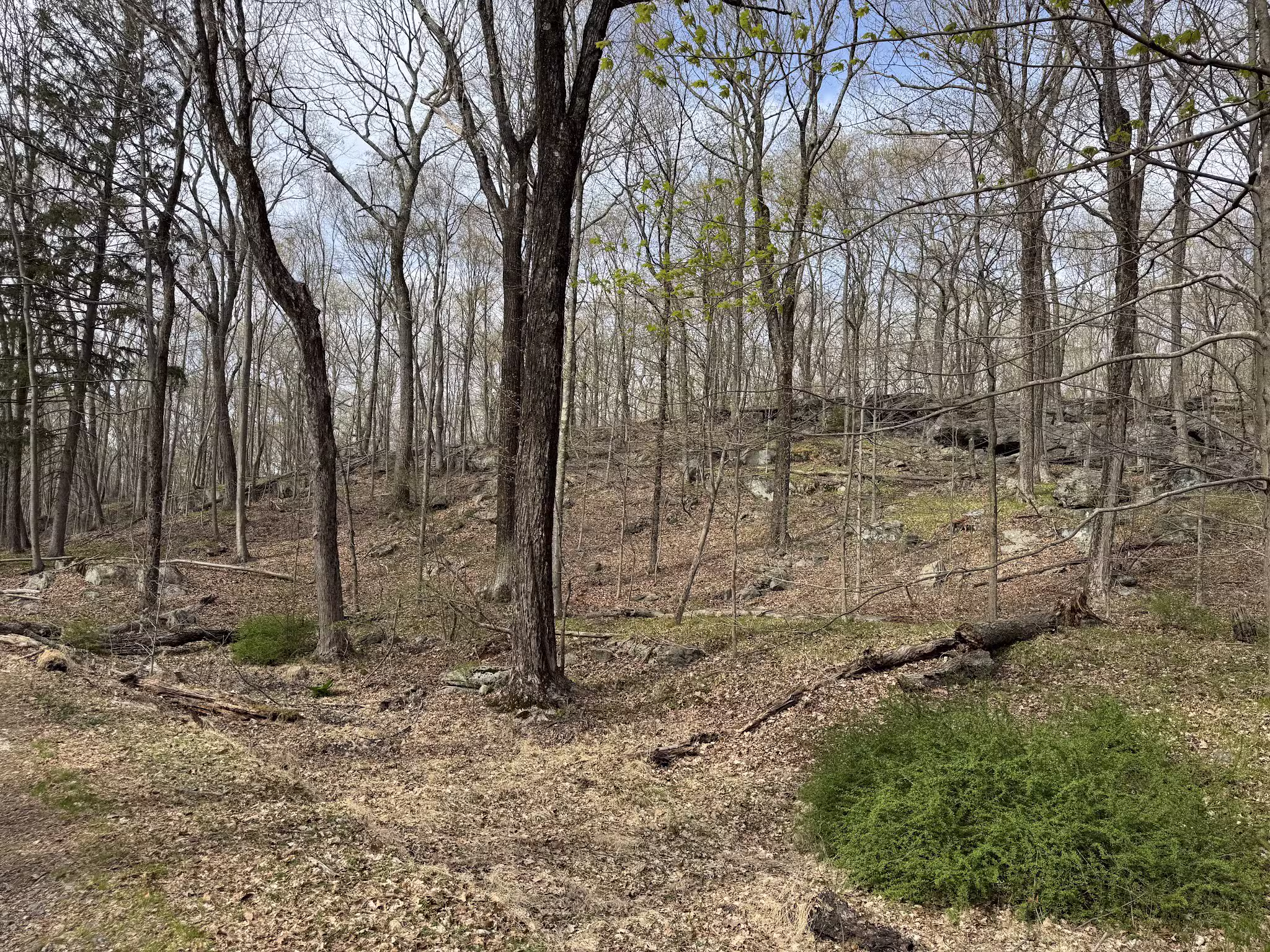 Sturges Park - Ridgefield, CT