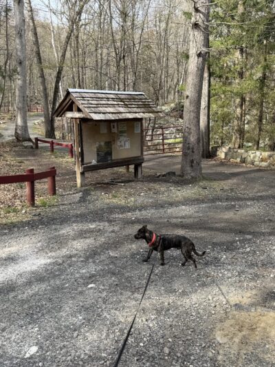 Sturges Park - Ridgefield, CT