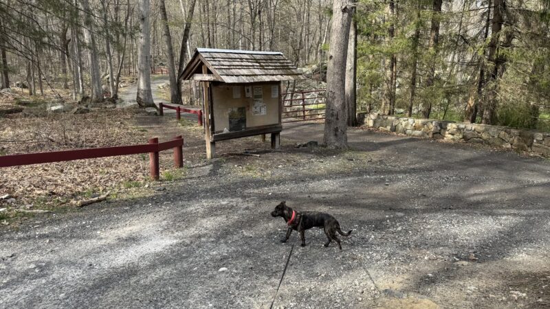 Sturges Park - Ridgefield, CT
