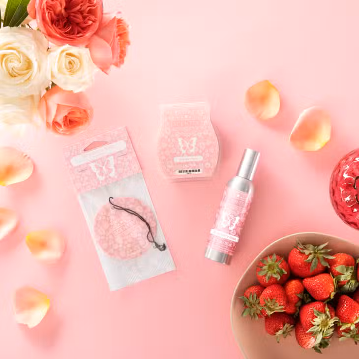 In the name of love cleaning services llc - Ridgefield Park, NJ