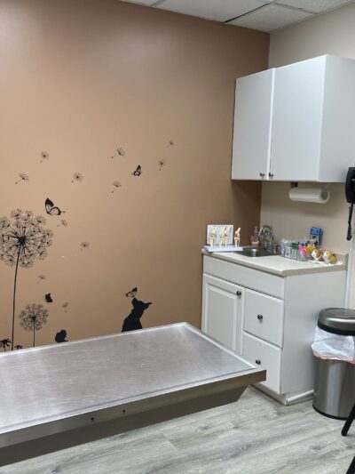 Ridgefield Park Animal Hospital - Ridgefield Park, NJ