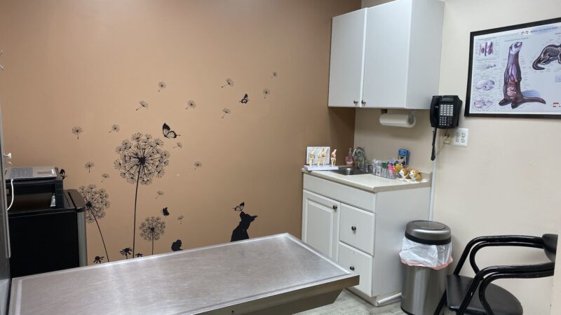 Ridgefield Park Animal Hospital - Ridgefield Park, NJ