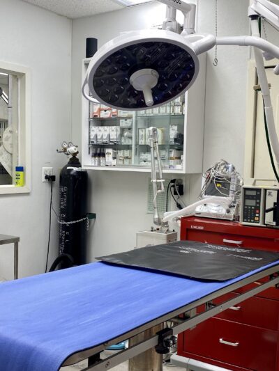 Ridgefield Park Animal Hospital - Ridgefield Park, NJ