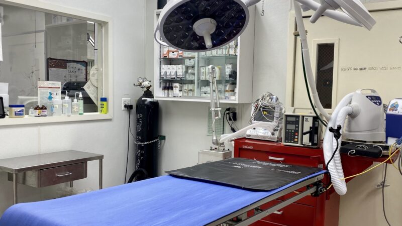 Ridgefield Park Animal Hospital - Ridgefield Park, NJ