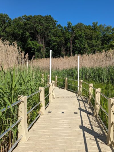 Ridgefield Park Nature Preserve - Ridgefield Park, NJ