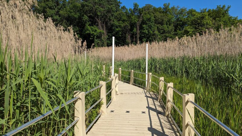 Ridgefield Park Nature Preserve - Ridgefield Park, NJ