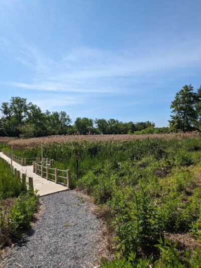 Ridgefield Park Nature Preserve - Ridgefield Park, NJ