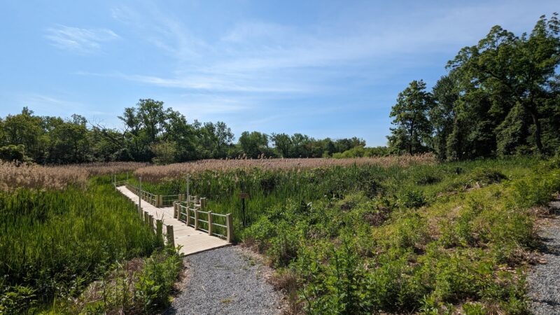 Ridgefield Park Nature Preserve - Ridgefield Park, NJ
