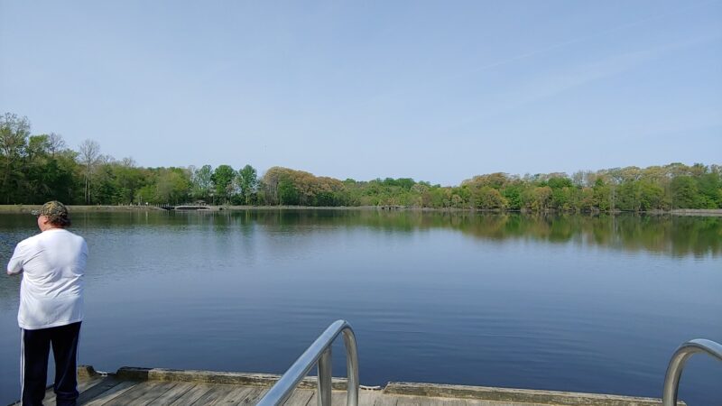 Tuckahoe State Park Lake Pavillion Lake Picnic Area - Ridgely, MD
