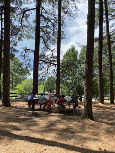 Tuckahoe State Park Lake Pavillion Lake Picnic Area - Ridgely, MD