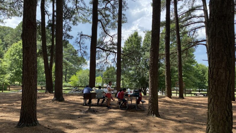 Tuckahoe State Park Lake Pavillion Lake Picnic Area - Ridgely, MD