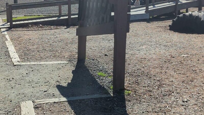 Tuckahoe State Park Lake Pavillion Lake Picnic Area - Ridgely, MD