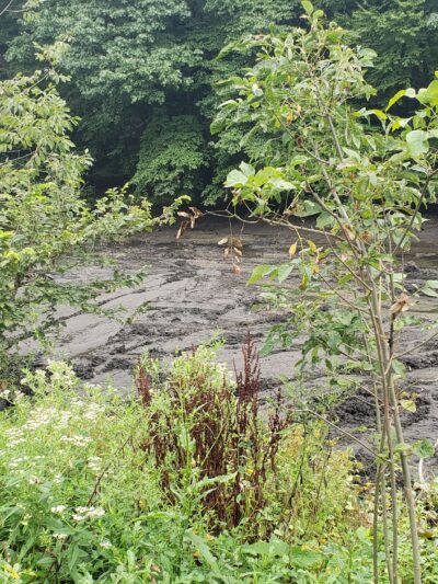 Gypsy Pond Park - Ridgewood, NJ