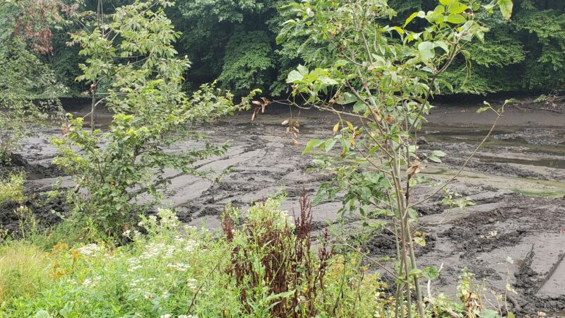 Gypsy Pond Park - Ridgewood, NJ