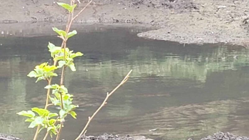 Gypsy Pond Park - Ridgewood, NJ