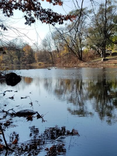 Gypsy Pond Park - Ridgewood, NJ