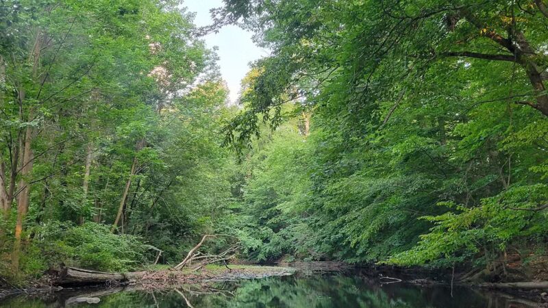 Irene Habernickel Family Park - Ridgewood, NJ