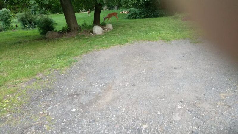Ridgewood Muncipal Park - Ridgewood, NJ