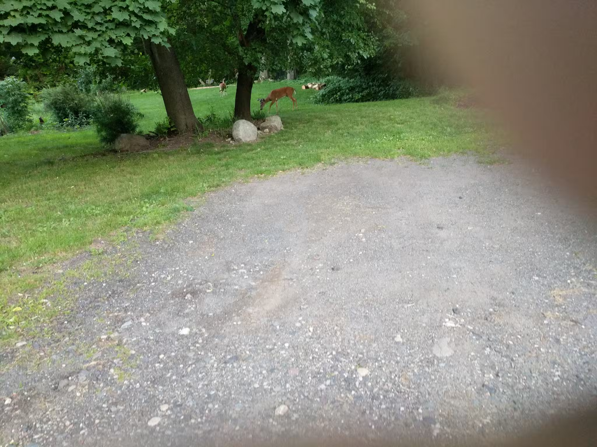 Ridgewood Muncipal Park - Ridgewood, NJ