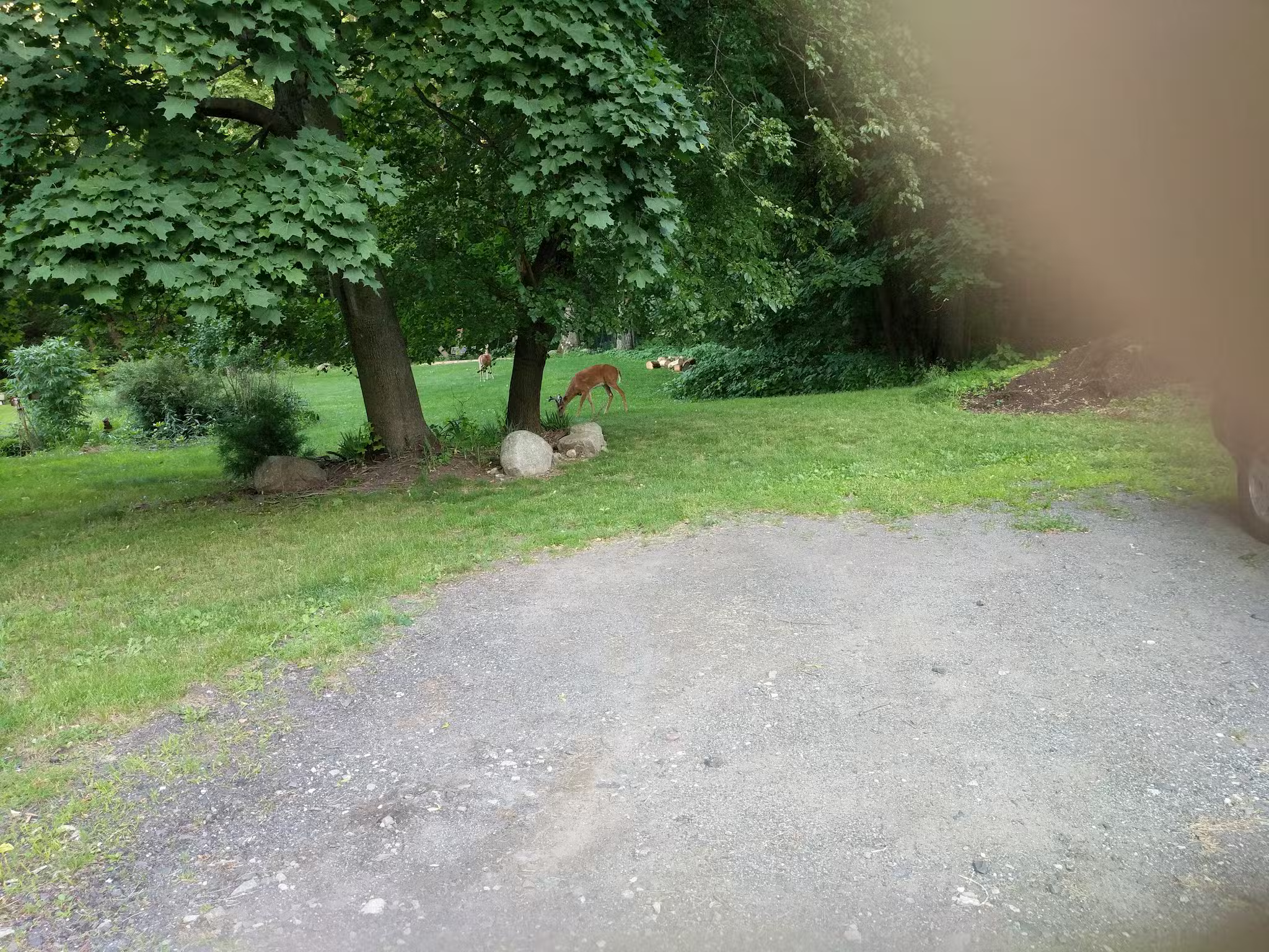 Ridgewood Muncipal Park - Ridgewood, NJ